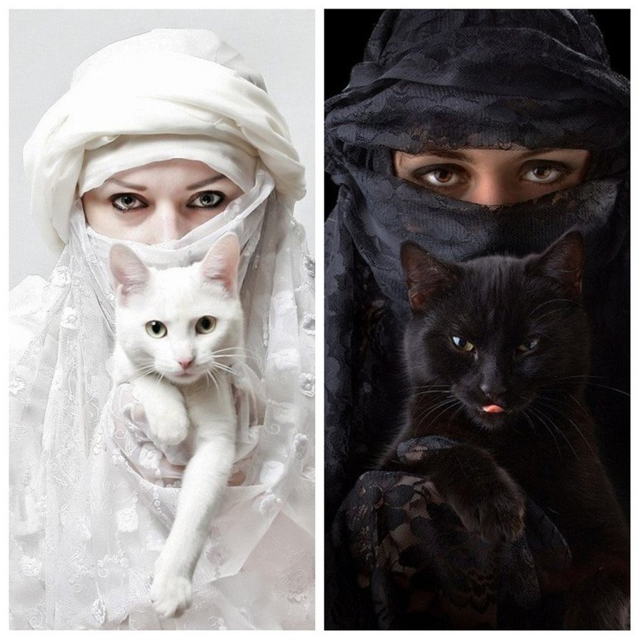 Белое и черное - инь-янь, кошки, девушки - оригинал