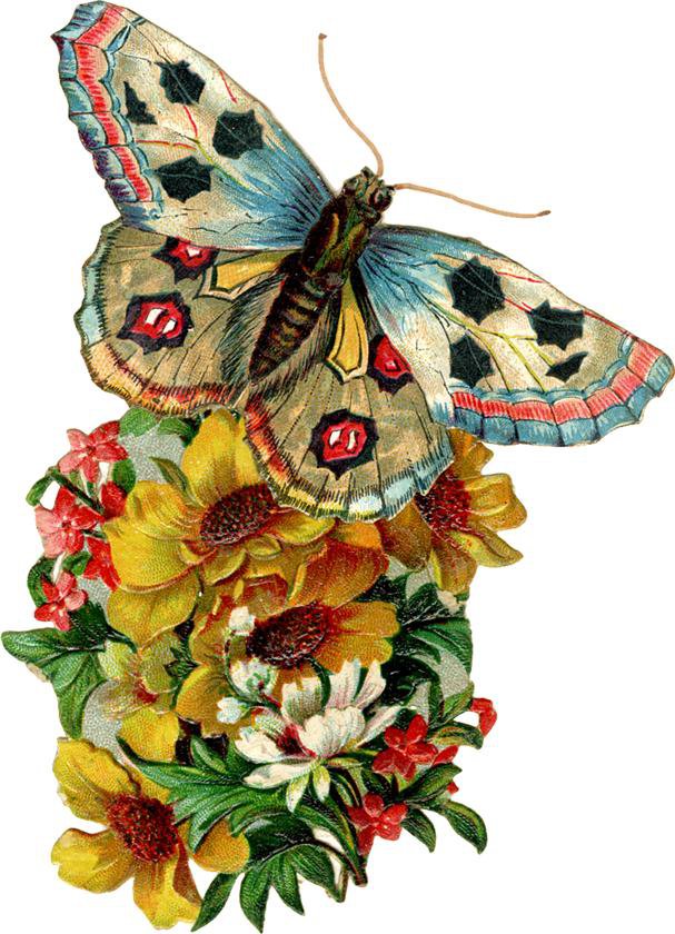 бабочка - цветы, бабочка, букет - оригинал