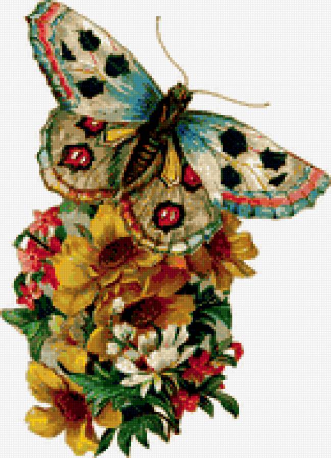 бабочка - букет, бабочка, цветы - предпросмотр