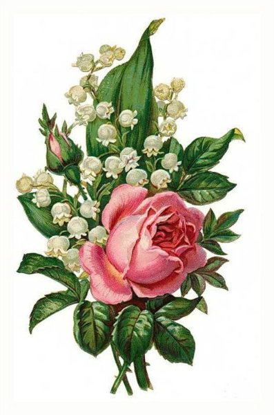 букет - роза, букет, цветы - оригинал