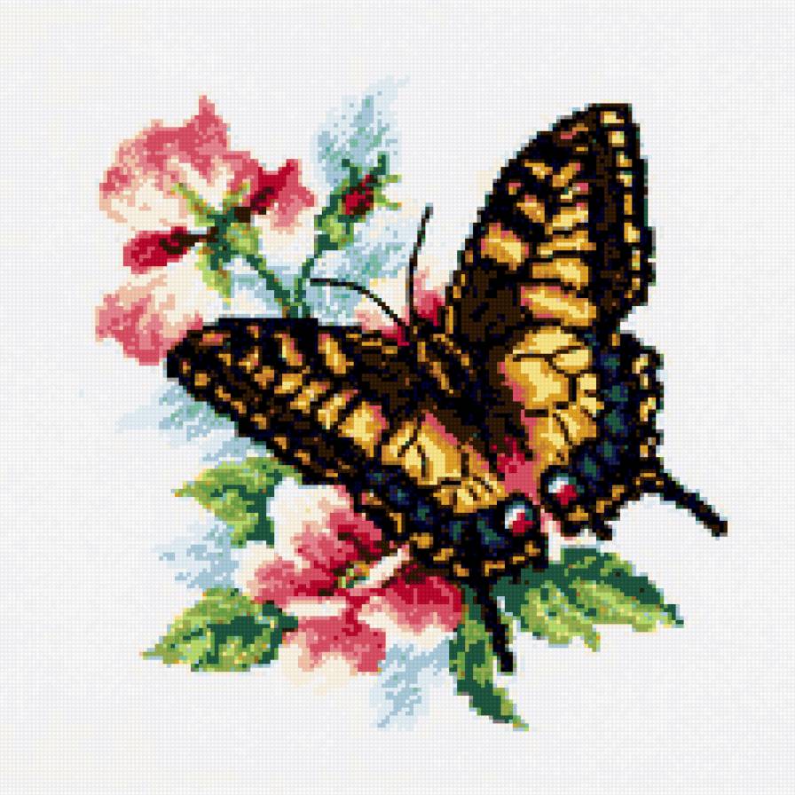 бабочки - цветы бабочки - предпросмотр