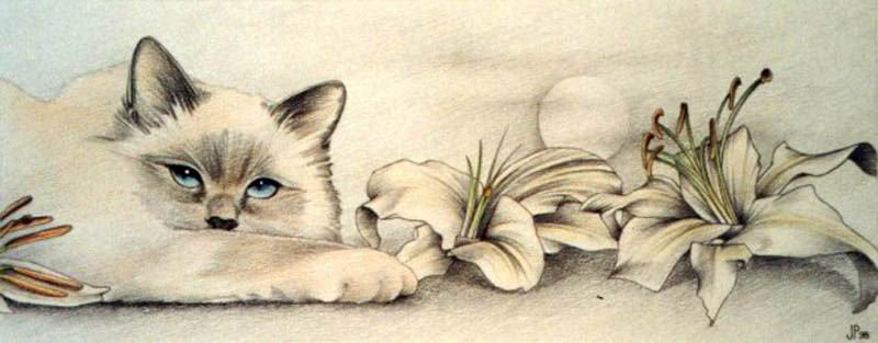 Кошечка с лилиями - кошки, цветы - оригинал