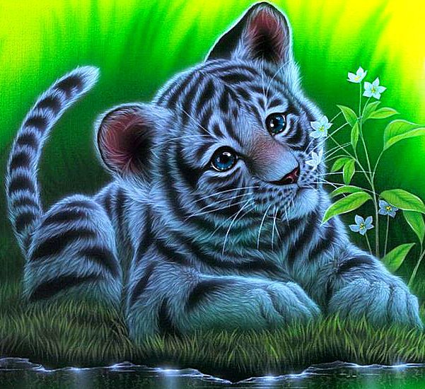 Милый тигрёнок - тигры, малыши, животные - оригинал