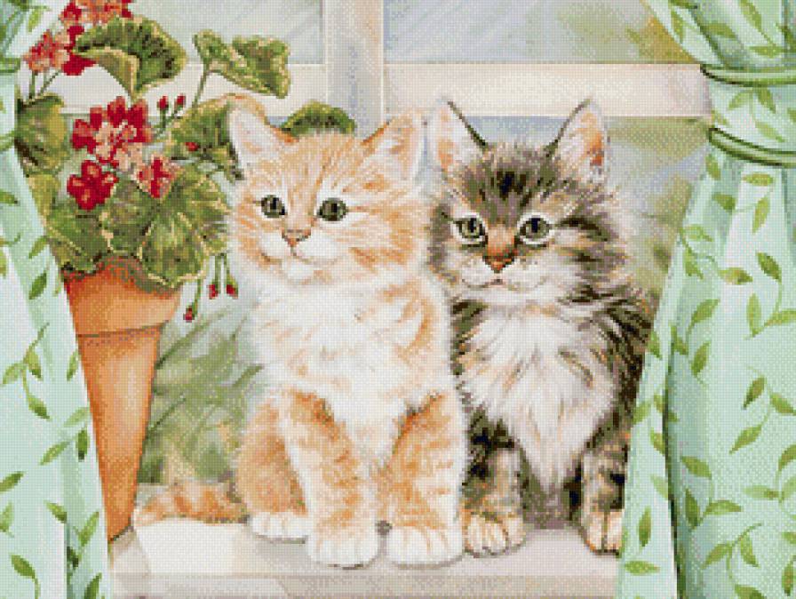 кошки на окошке - друзья, животные, окно, котята - предпросмотр
