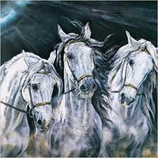 тройка белых лошадей