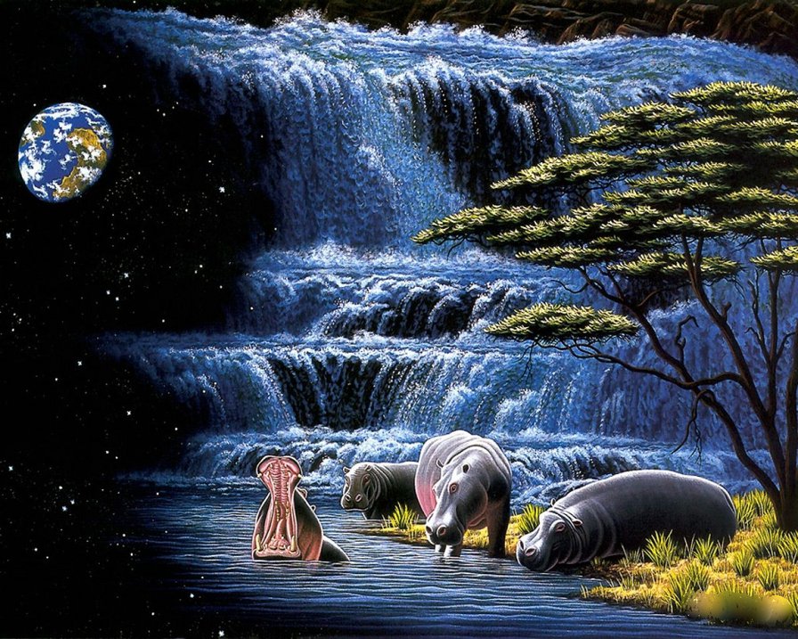 бегемоты - купание, звери, водопад, природа, животные - оригинал