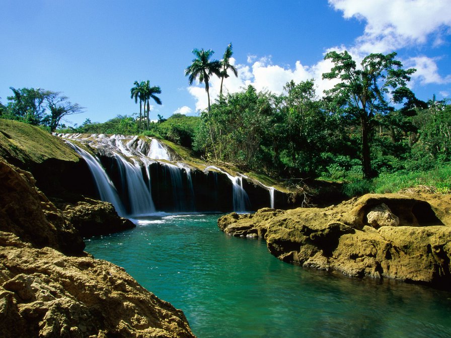 водопад и пальмы - пейзаж, природа, водопад, горы - оригинал