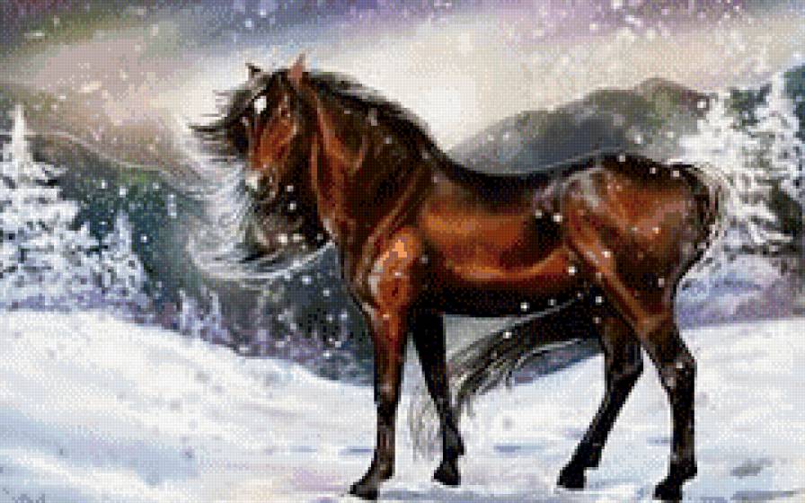 красивые лошади (подборка) - животные, природа, зима, лошади, снег, конь - предпросмотр