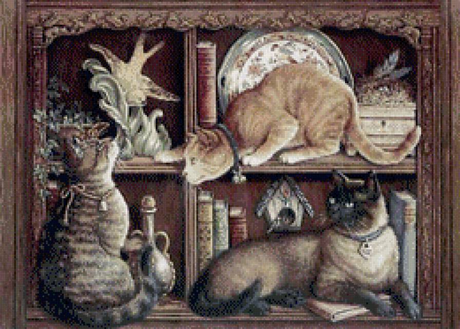 коты на полке - кошки, посуда, животные, полки - предпросмотр