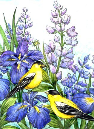 Птицы и цветы - ирисы, люпины, цветы, красота, природа, птички, цветочки, птицы - оригинал