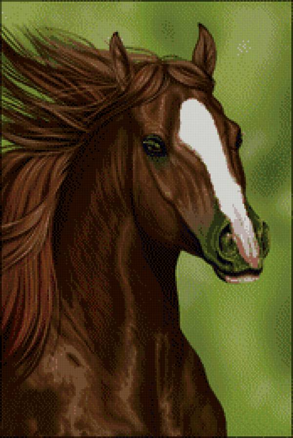 лошадка - животные, лошадь, кони, конь, лошади - предпросмотр