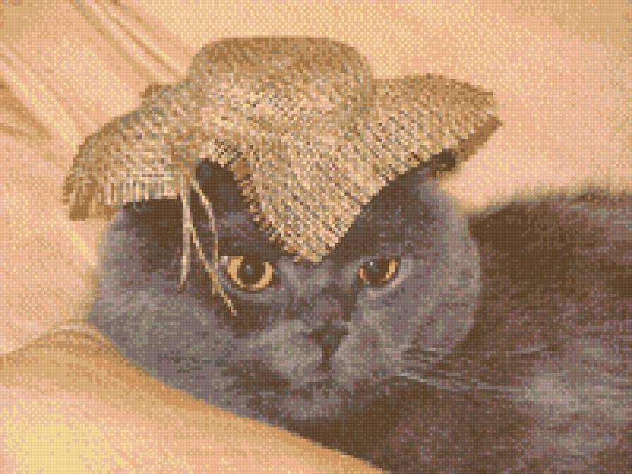Кот дачник - кот - предпросмотр