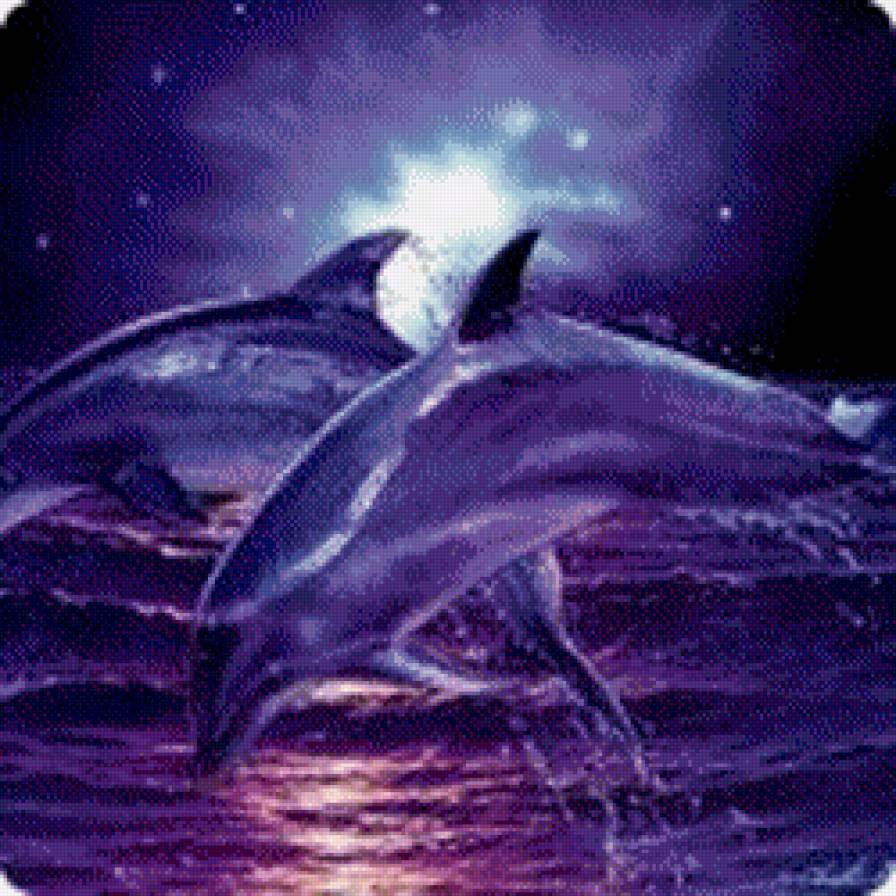 дельфины - дельфины, животные, море - предпросмотр
