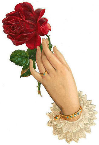 роза в руке - цветы - оригинал
