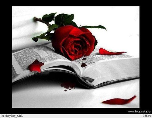Книга - книга, роза - оригинал