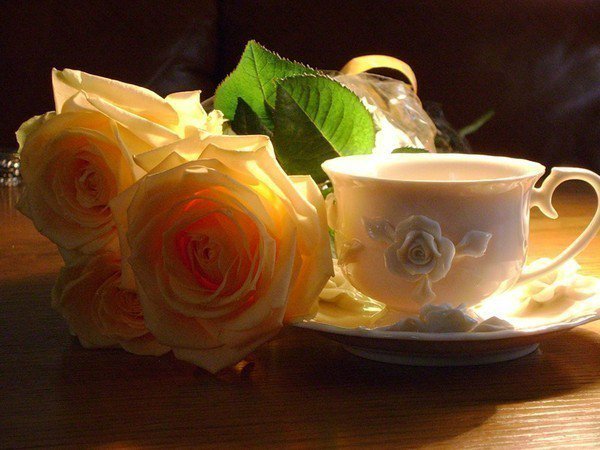 Розы - цветок, роза, чашка - оригинал