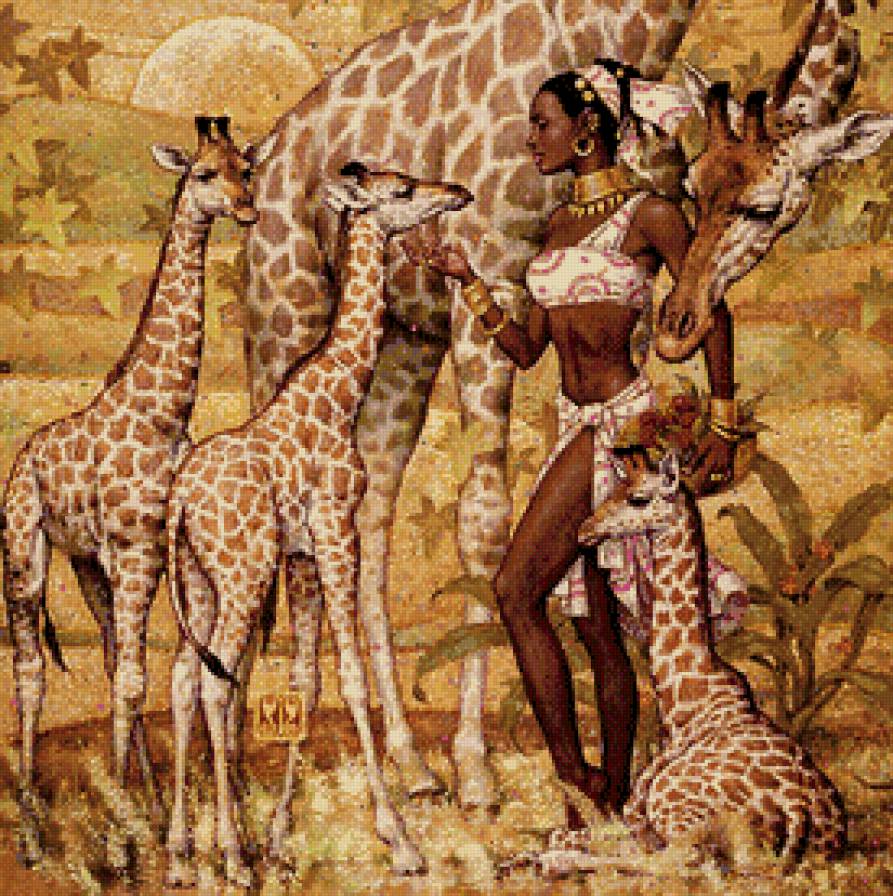 девушка и жирафы - животные, звери, девушка, жираф - предпросмотр