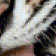 Предпросмотр схемы вышивки «Тигрица с тигренком» (№437811)
