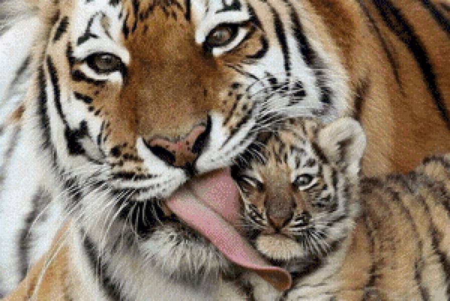 Тигрица с тигренком - дикие животные, хищники, кошки, тигры - предпросмотр