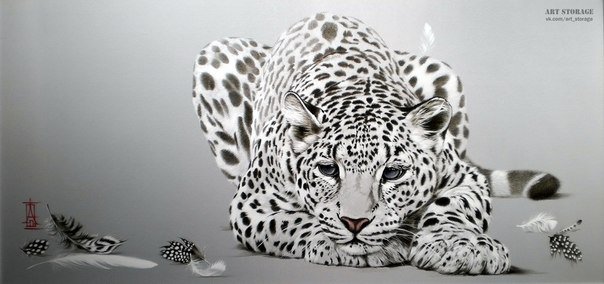 леопард - кошки, дикие кошки, леопарды, хищники - оригинал