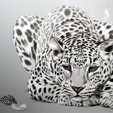 Оригинал схемы вышивки «леопард» (№437819)