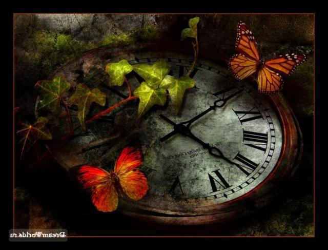 бабочки и время - отдых, время, бабочки - оригинал