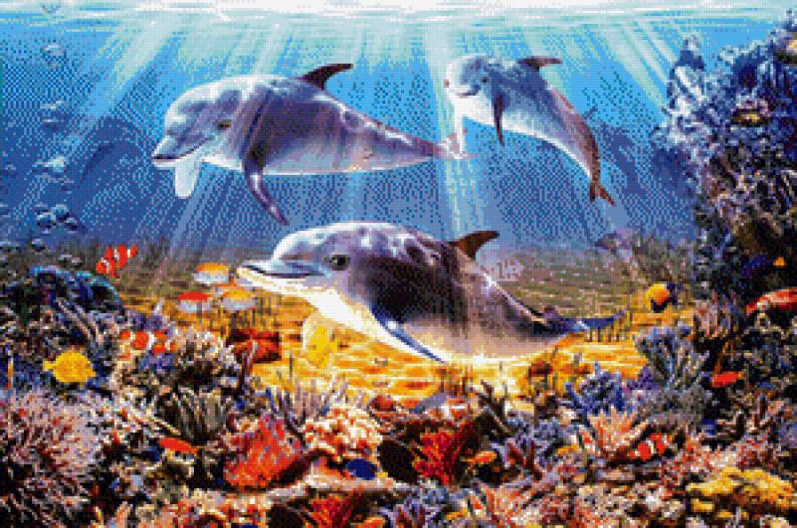 дельфины - дельфины, подводный мир, море, рыбы - предпросмотр