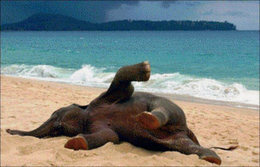 Слоненок на пляже - слоник, море, песок, пляж - предпросмотр