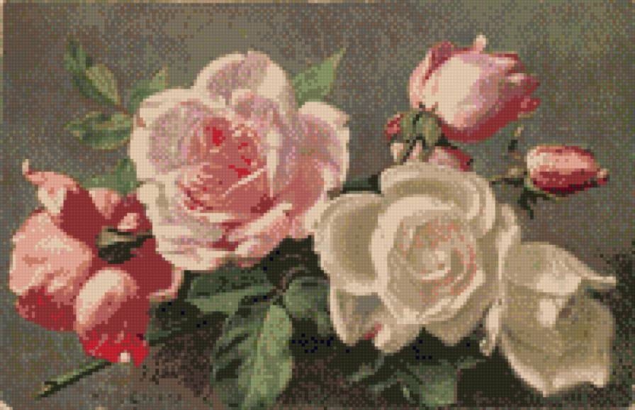 одни розы - цветы - предпросмотр