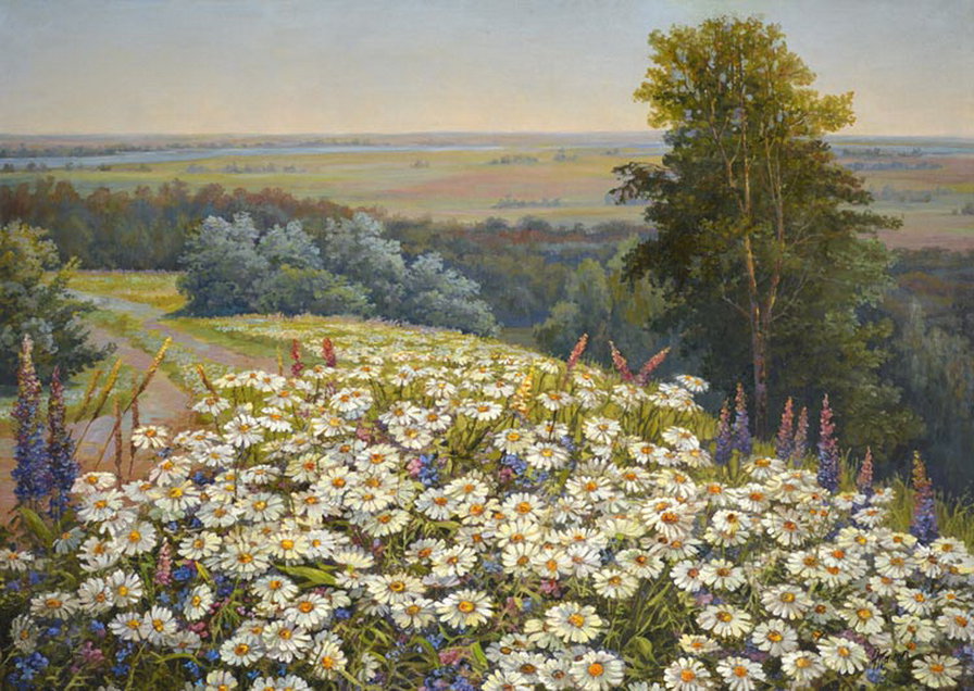 ромашковое поле - цветы, природа, пейзаж, картина, живопись - оригинал