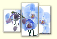 Триптих"Орхидея" - цветы, восток, азия - оригинал