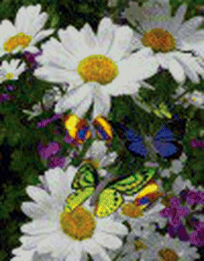 №440038 - цветы и бабочки - предпросмотр