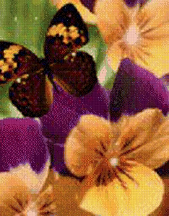 №440064 - цветы и бабочки - предпросмотр