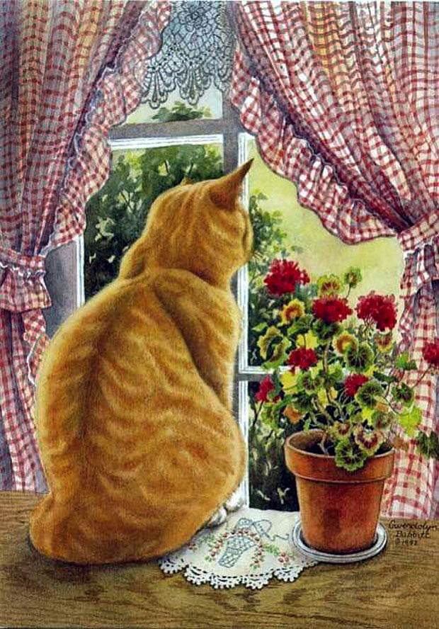 котеня - цветы, окно, кошка - оригинал