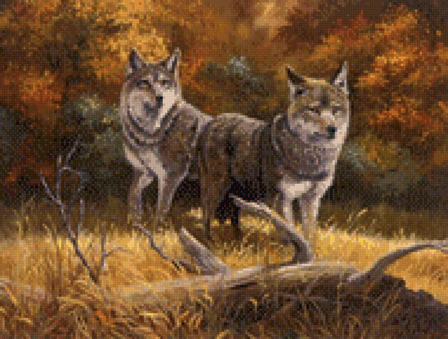 0146 - природа, лес, животные, картина, волки, волк, лето, красота - предпросмотр