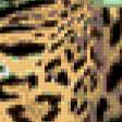 Предпросмотр схемы вышивки «Мама леопард» (№440609)