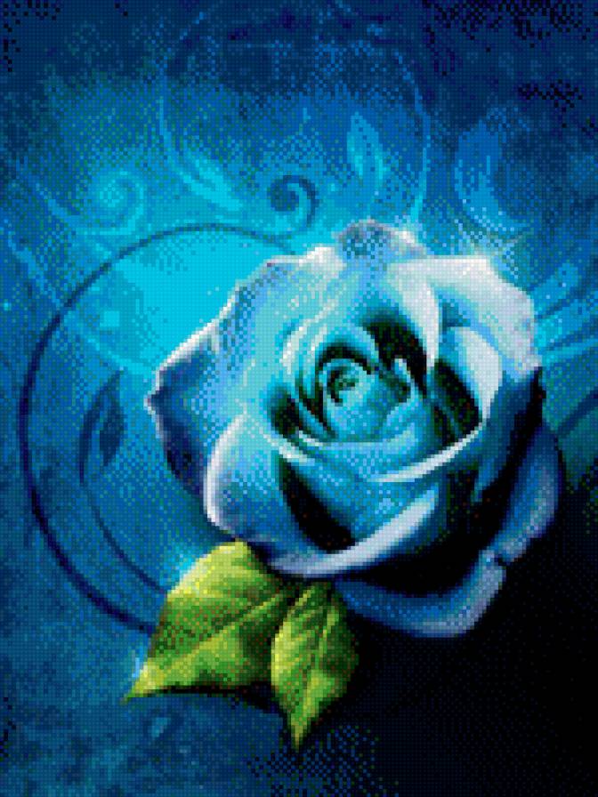 Голубая роза - розы, цветы - предпросмотр
