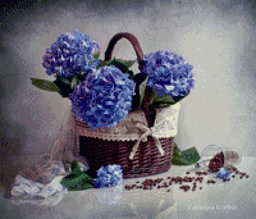 Гортензия - цветы, натюрморт - предпросмотр