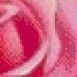 Предпросмотр схемы вышивки «розы» (№441681)