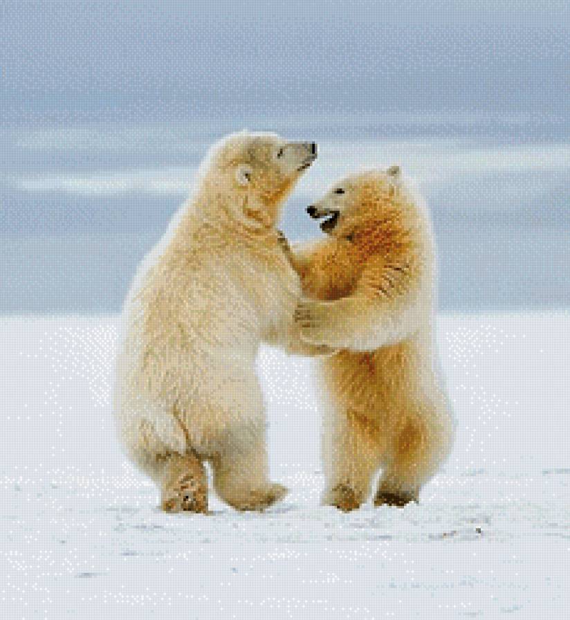 танцующие медведи - зима, звери, животные, медведи - предпросмотр