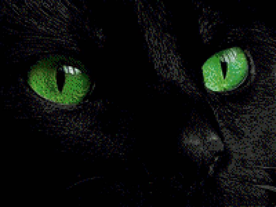 Зеленоглазка - взгляд, кот, глаза - предпросмотр