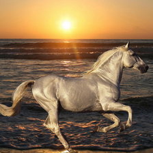 Оригинал схемы вышивки «белый конь» (№442492)