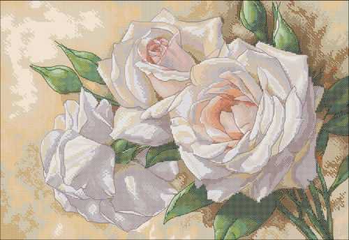 нежные белые розы - цветы, розы - оригинал