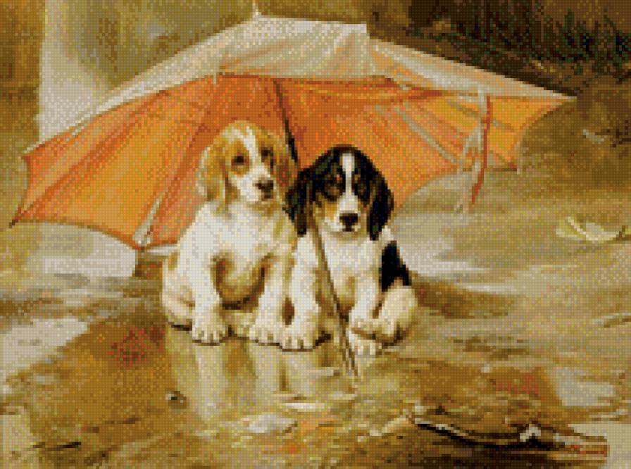 Дождь - собаки, дождь, животные, зонт - предпросмотр
