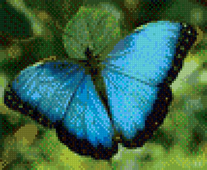 Бабочка - бабочка - предпросмотр
