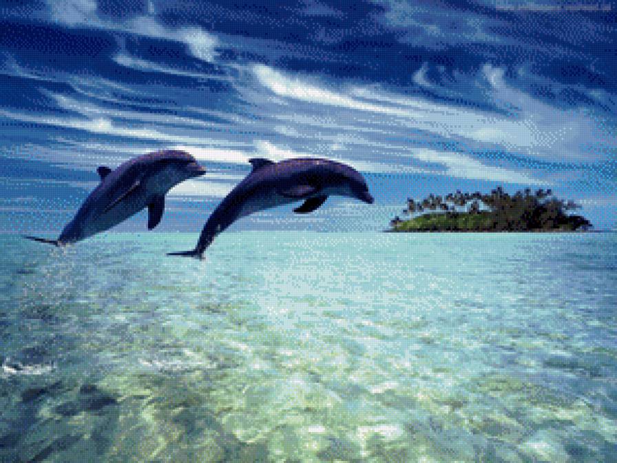 дельфины - море, дельфины, пара - предпросмотр