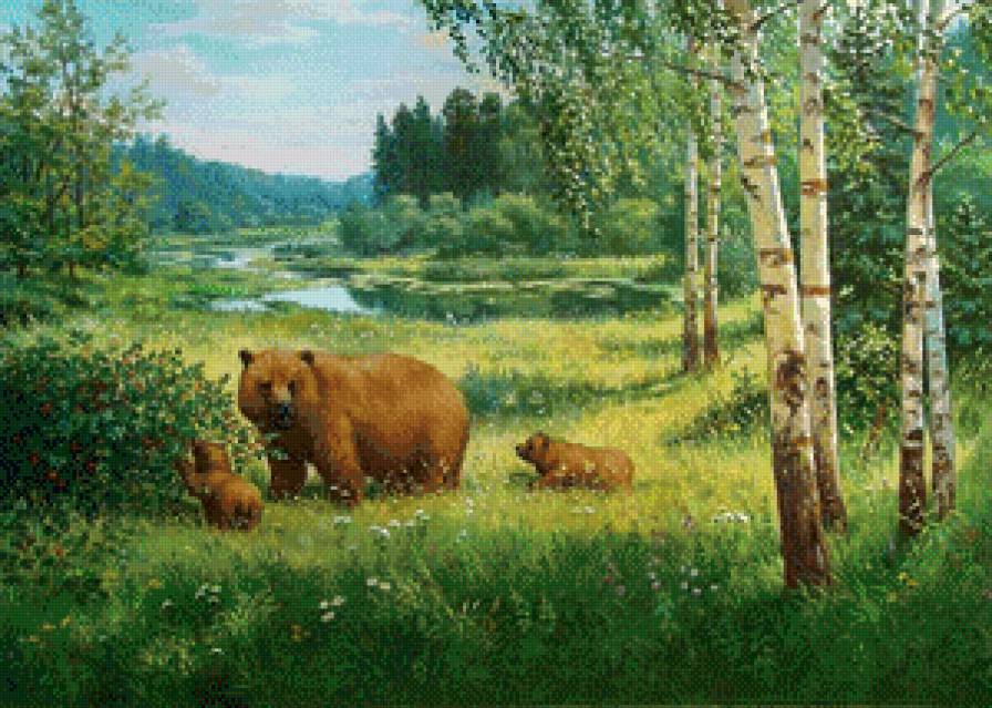 Мишки в поле - озеро, медведь, животные, березы, поляна, река, природа, лес - предпросмотр
