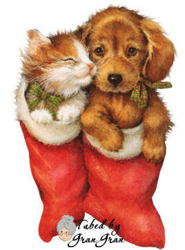 подарочки - котенок, рождество, чулок, собака, щенок, подарки - оригинал