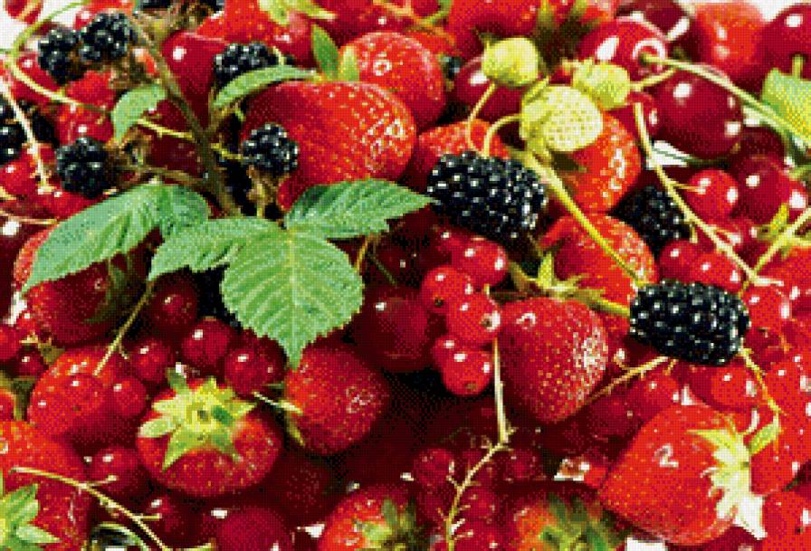 ягоды - урожай, еда, природа, ягоды - предпросмотр