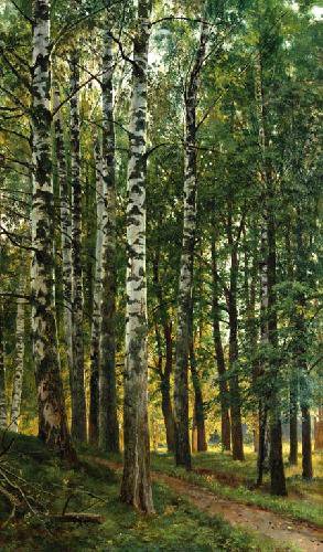 Шишкин И.И. Березовая роща - пейзаж, живопись, деревья, природа, березы - оригинал